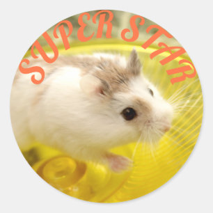Hammyville - Cute Hamster Super Star Classic Round Sticker
