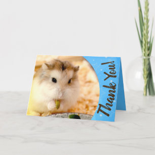 Hammyville - Cute Hamster Thank You Card