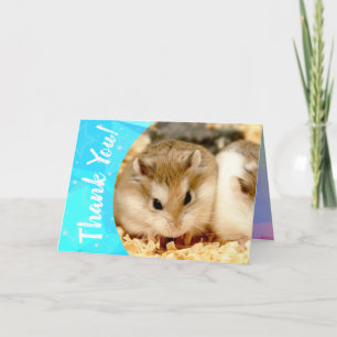 Hammyville - Cute Hamster Thank You Card