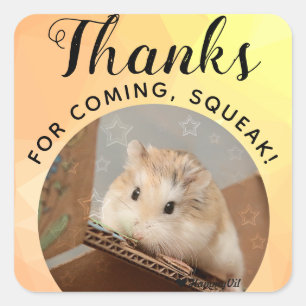 HammyVille - Cute Hamster Thanks for Coming Squeak Square Sticker