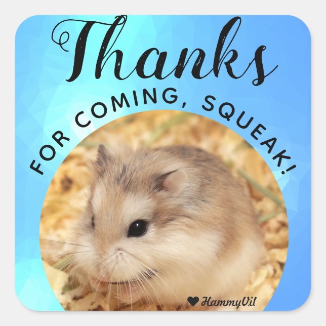 HammyVille - Cute Hamster Thanks for Coming Squeak Square Sticker (Front)