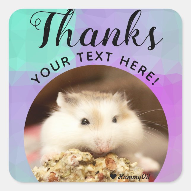 HammyVille - Cute Hamster Thanks Square Sticker (Front)