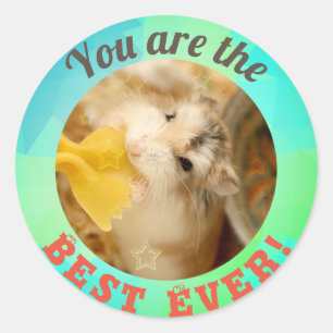 HammyVille - Cute Hamster You are So Awesome Classic Round Sticker