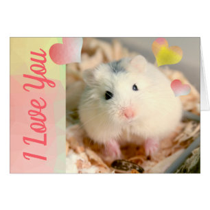 HammyVille - Cute Robo Hamster Valentine