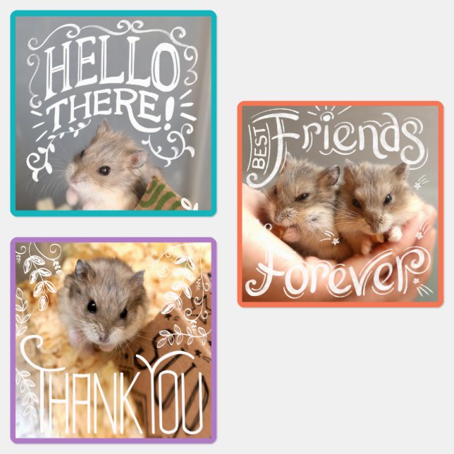 Hammyville - Hamsters Hello, BFF, Thank You (Group)