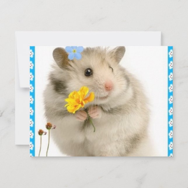 hamster (Front)