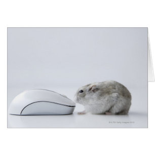 Hamster and Computer mouse