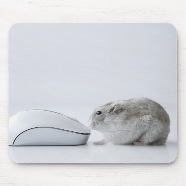 Hamster and Computer mouse Pad (Front)
