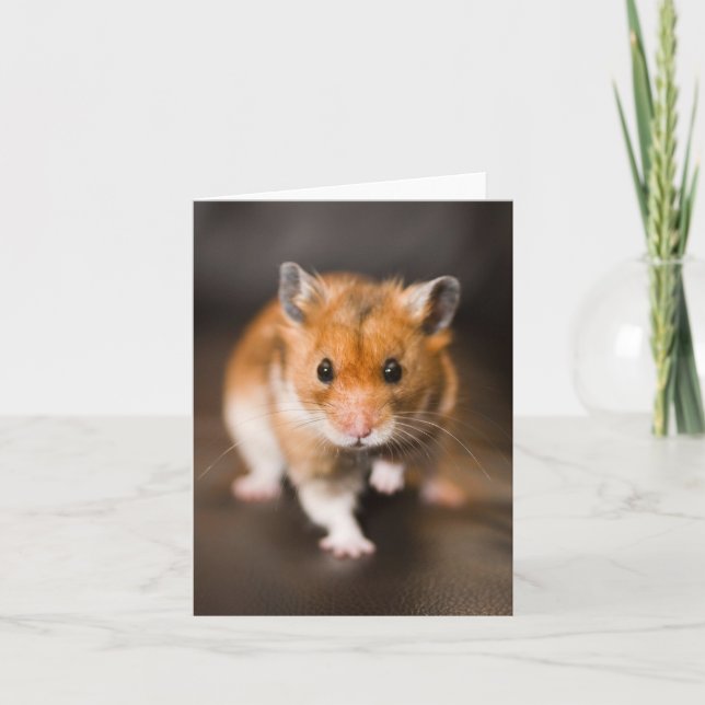 Hamster Card (Front)