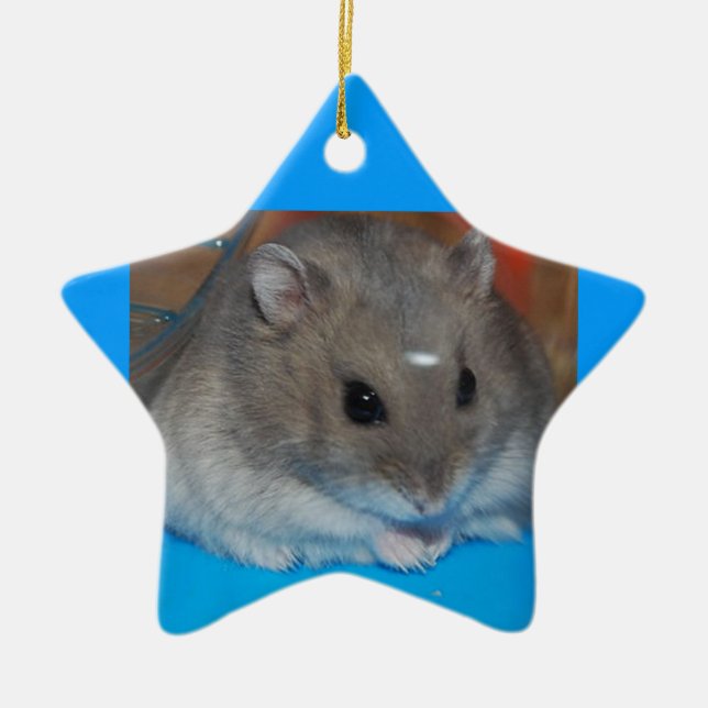 Hamster Ceramic Tree Decoration (Front)