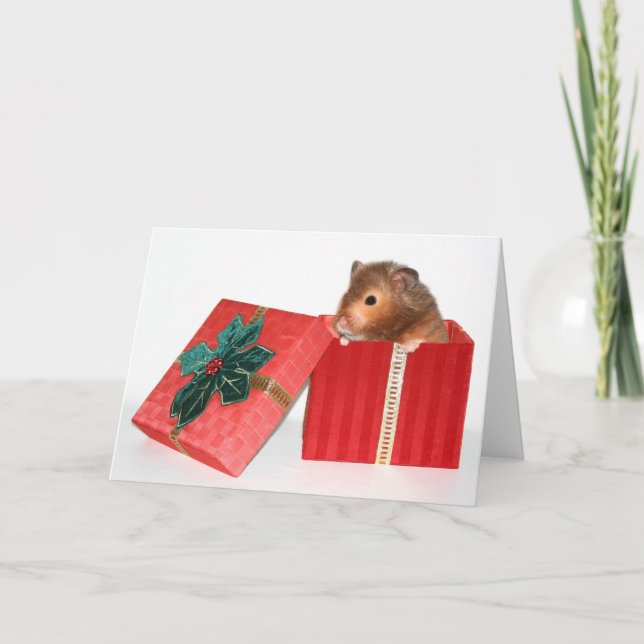 Hamster Christmas gift Holiday Card (Front)