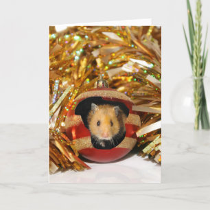 Hamster Christmas Holiday Card