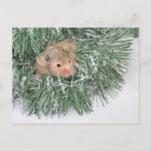 Hamster Christmas Holiday Postcard