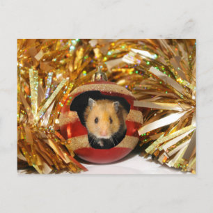 Hamster Christmas Holiday Postcard