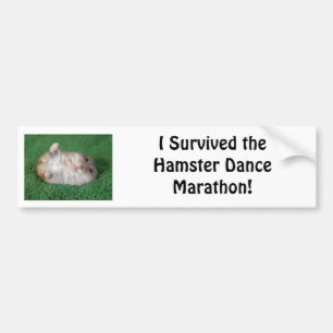 Hamster Dance Marathon Bumper Sticker