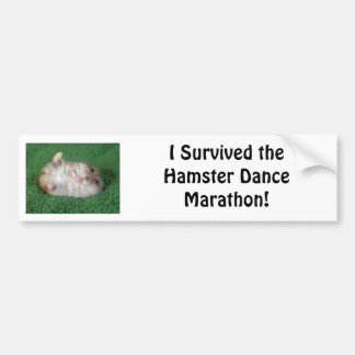 Hamster Dance Marathon Bumper Sticker