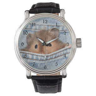 Hamster in blue jeans watch