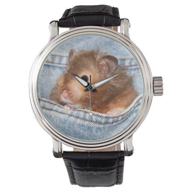 Hamster in blue jeans watch (Front)