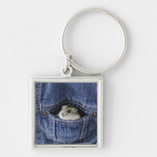 Hamster in pocket key ring