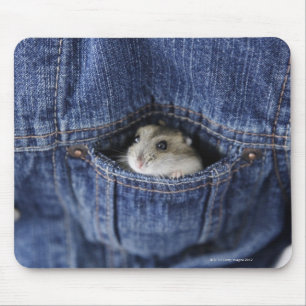 Hamster in pocket mouse pad