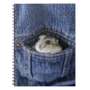 Hamster in pocket spiral notebook