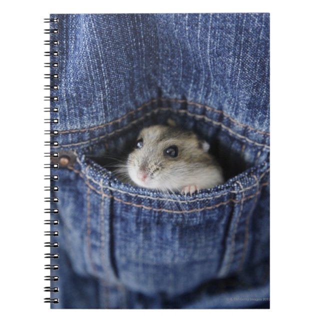 Hamster in pocket spiral notebook (Front)