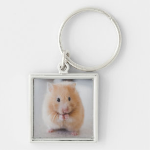 hamster key ring