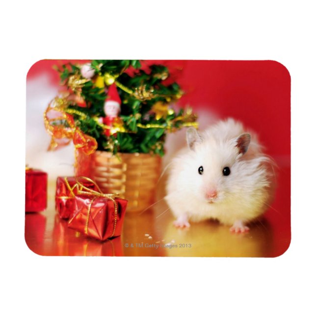 Hamster Kokolinka with Christmas tree Magnet (Horizontal)