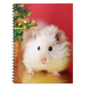 Hamster Kokolinka with Christmas tree Notebook