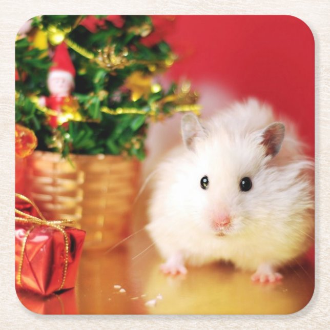 Hamster Kokolinka with Christmas tree Square Paper Coaster (Front)
