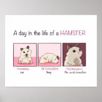 Hamster Life