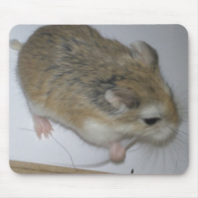 Hamster Mat Mouse Pad (Front)