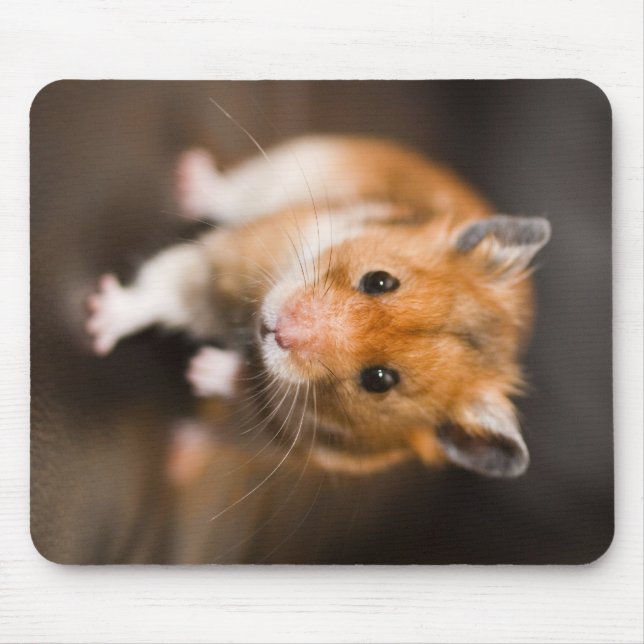 Hamster Mouse Pad (Front)