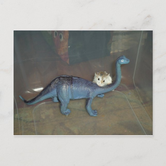 Hamster on a dinosaur postcard (Front)