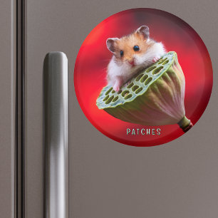Hamster on Lotus Pod Magnet