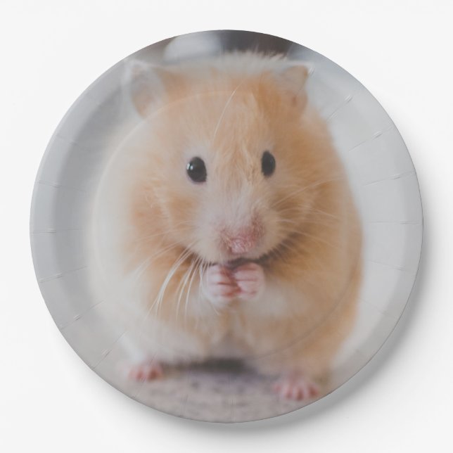 hamster paper plate (Front)