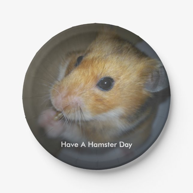 Hamster Paper Plates (Front)