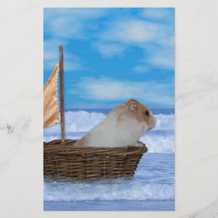Hamster Sailor