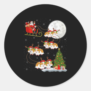 Hamster Santa Sleigh Flying Funny Magical Christma Classic Round Sticker