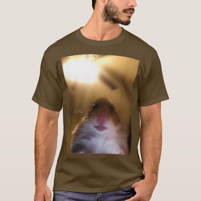Hamster Staring At Camera Meme T-Shirt (Front)
