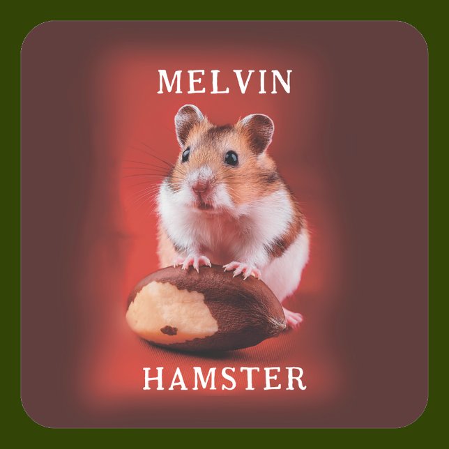 Hamster with Brazil Nut Square Sticker (Creator Uploaded)