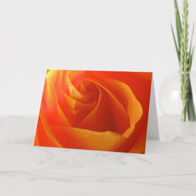 Hana II Holiday Card (Front)