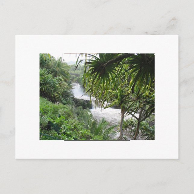 Hana, MAUI Postcard (Front)