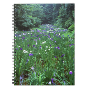 Hana Shobu (Japanese Water Iris), Meiji Shrine, Notebook