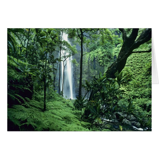 Hanakapiai Falls along the Na Pali Coast, Kauai, (Front Horizontal)