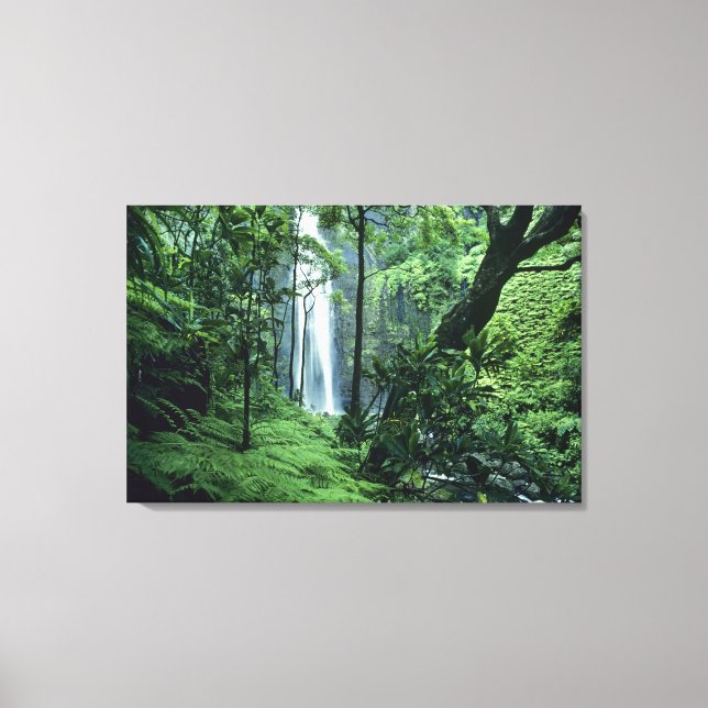 Hanakapiai Falls along the Na Pali Coast, Kauai, Canvas Print (Front)