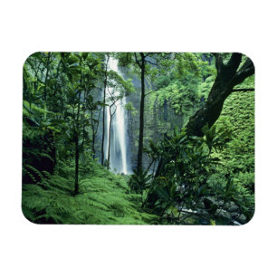 Hanakapiai Falls along the Na Pali Coast, Kauai, Magnet