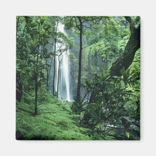 Hanakapiai Falls along the Na Pali Coast, Kauai, Magnet