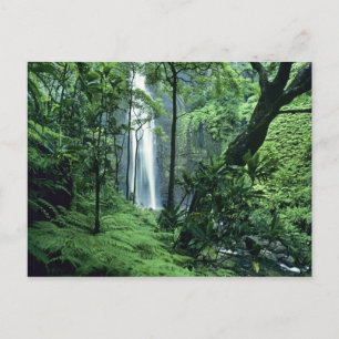 Hanakapiai Falls along the Na Pali Coast, Kauai, Postcard