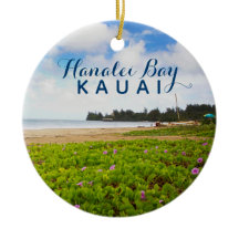 Hanalei Bay Kauai Hawaii 2 Photo Year